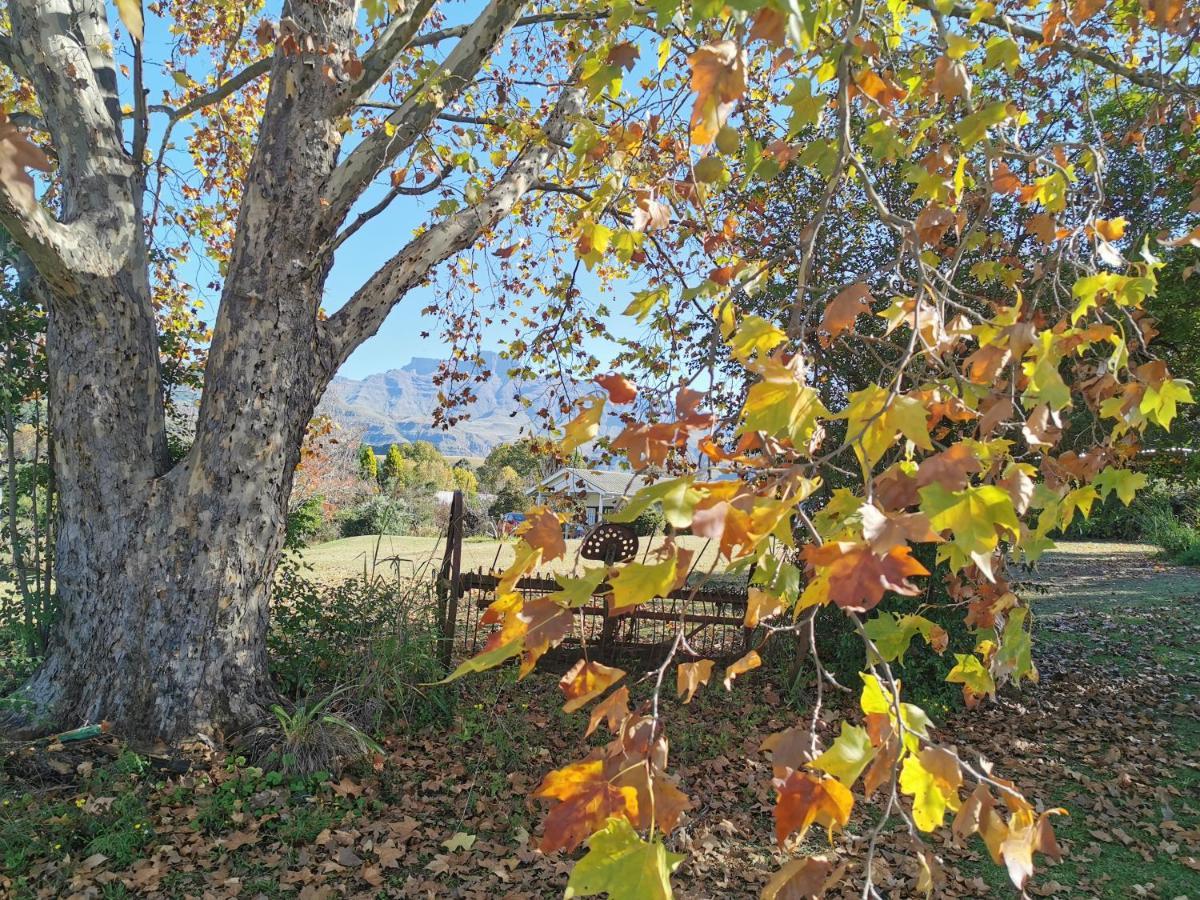 Swallowfield Rondavels Champagne Valley Экстерьер фото